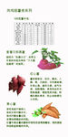 红薯