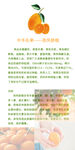 脐橙