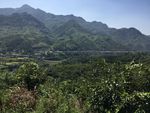 大别山南麓一景