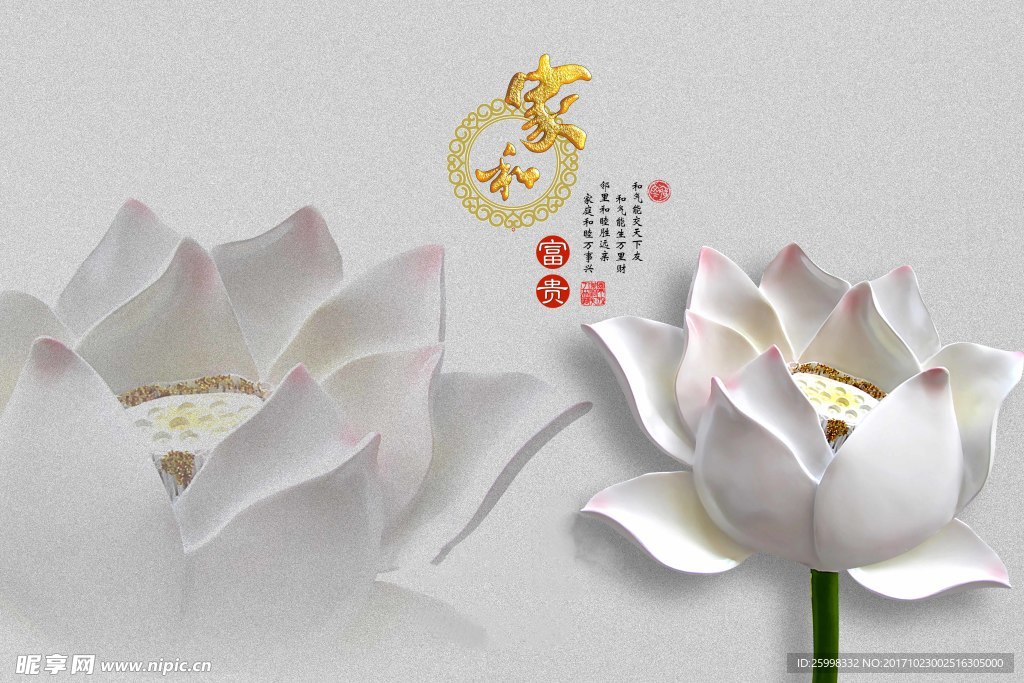荷花