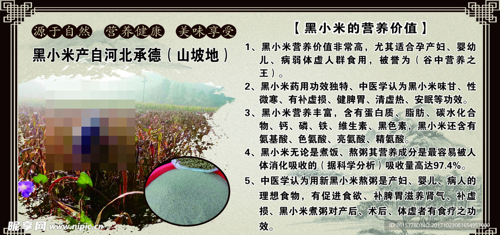 营养黑小米
