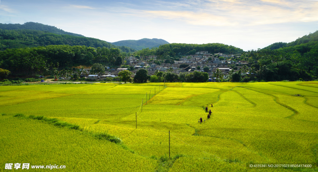 什寒村