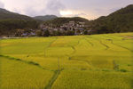 什寒村