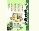 安吉白茶