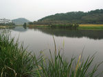 水岸景观