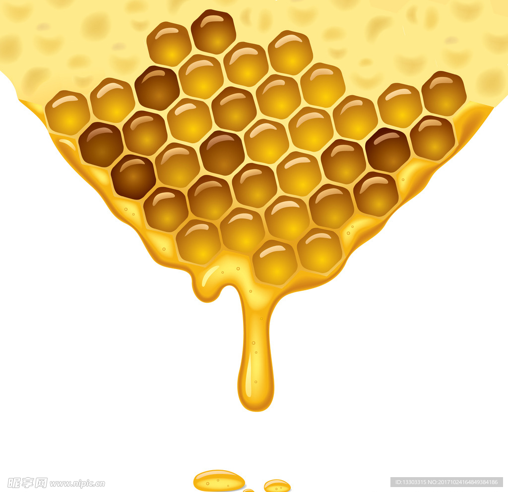蜂蜜蜂窝素材