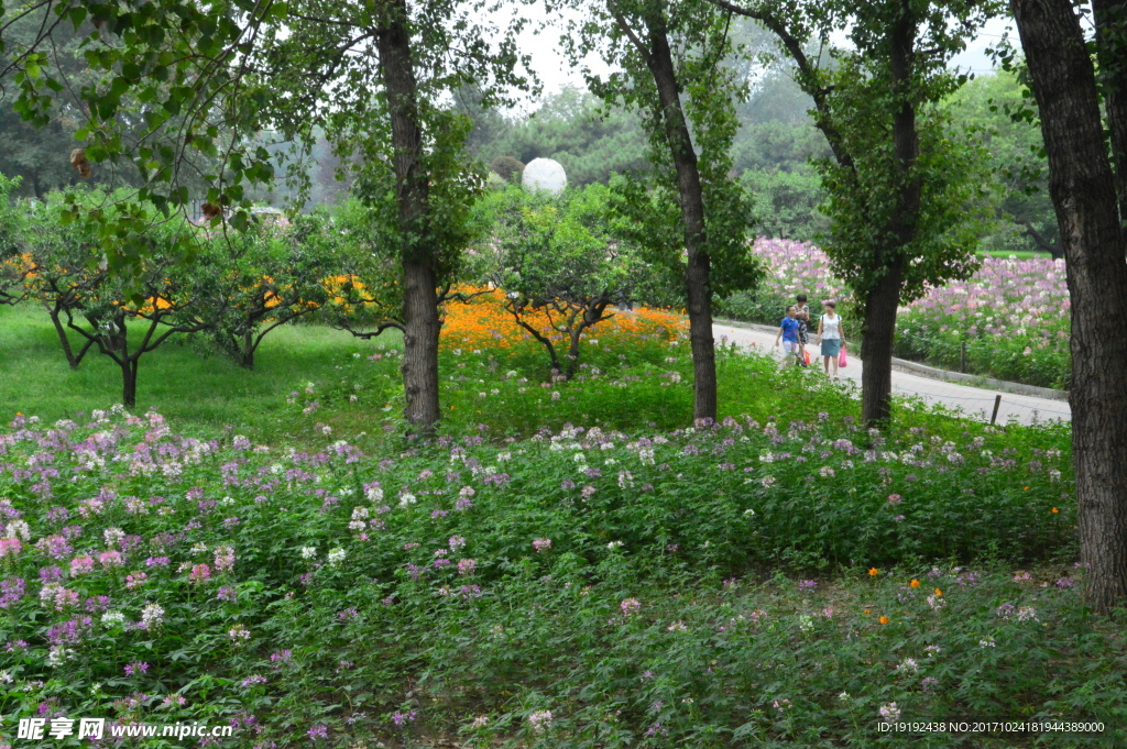 植物园风景