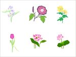 花素材