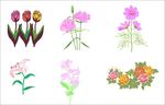 花素材