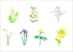 花素材