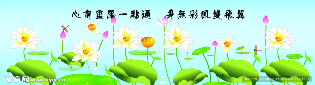 荷花静怡图