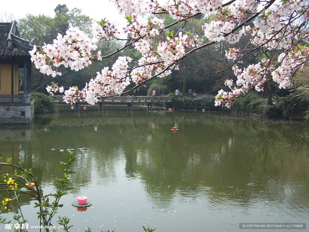 鼋头渚  风景
