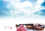 鲜花 小提琴