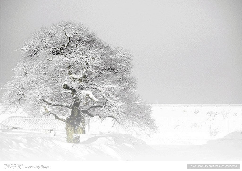 下雪了