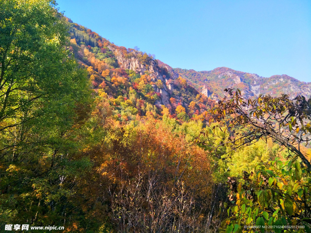 红叶山