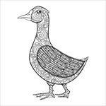 手绘线描黑白动物矢量图