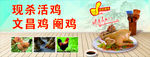 现杀活鸡文昌鸡各种冻货招牌海报