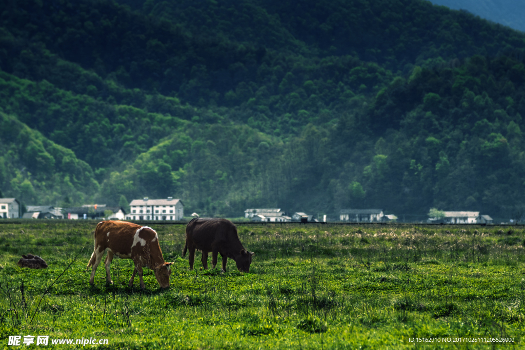 神农架风景