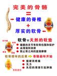 完美的骨骼海报