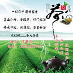 茶文化 茶园背景 茶壶