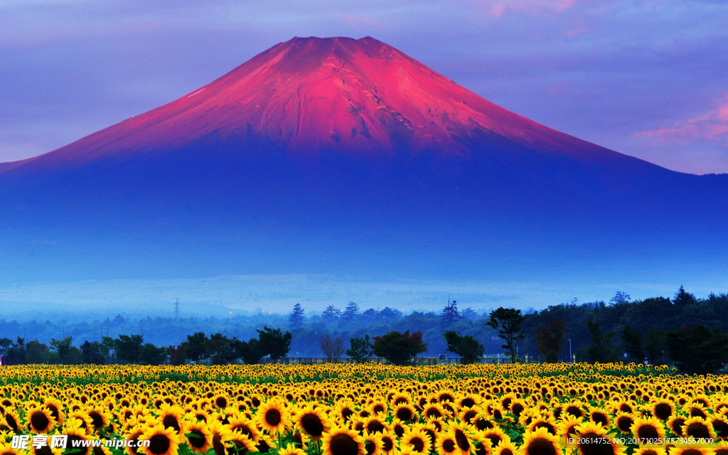 美丽的富士山