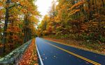深秋时节的道路风景