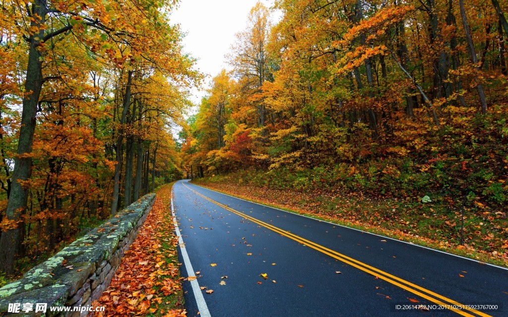 深秋时节的道路风景