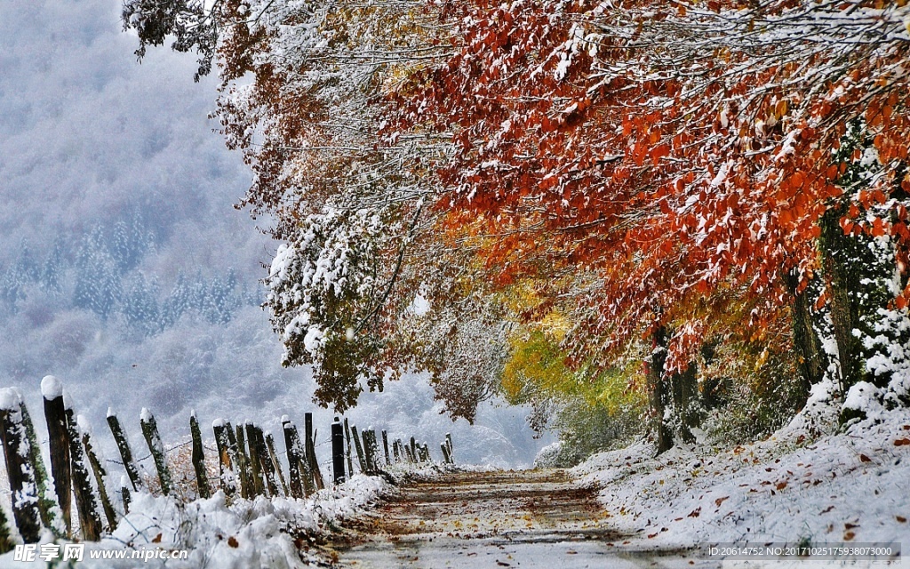 冬日里的乡村道路