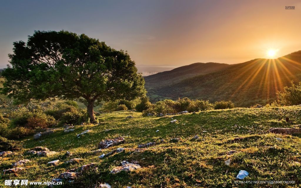 夕阳下的山丘风景