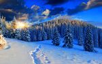 林海雪原