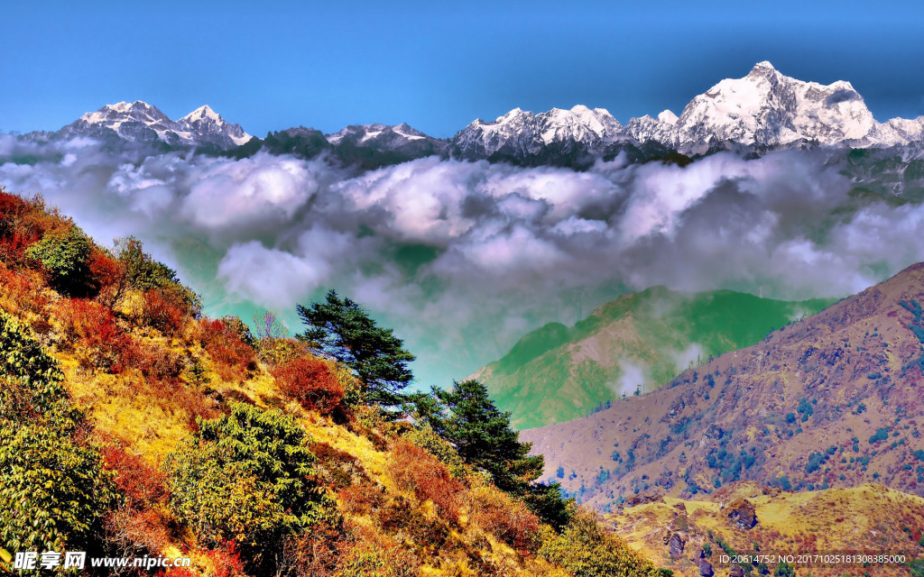 云山雾海美景
