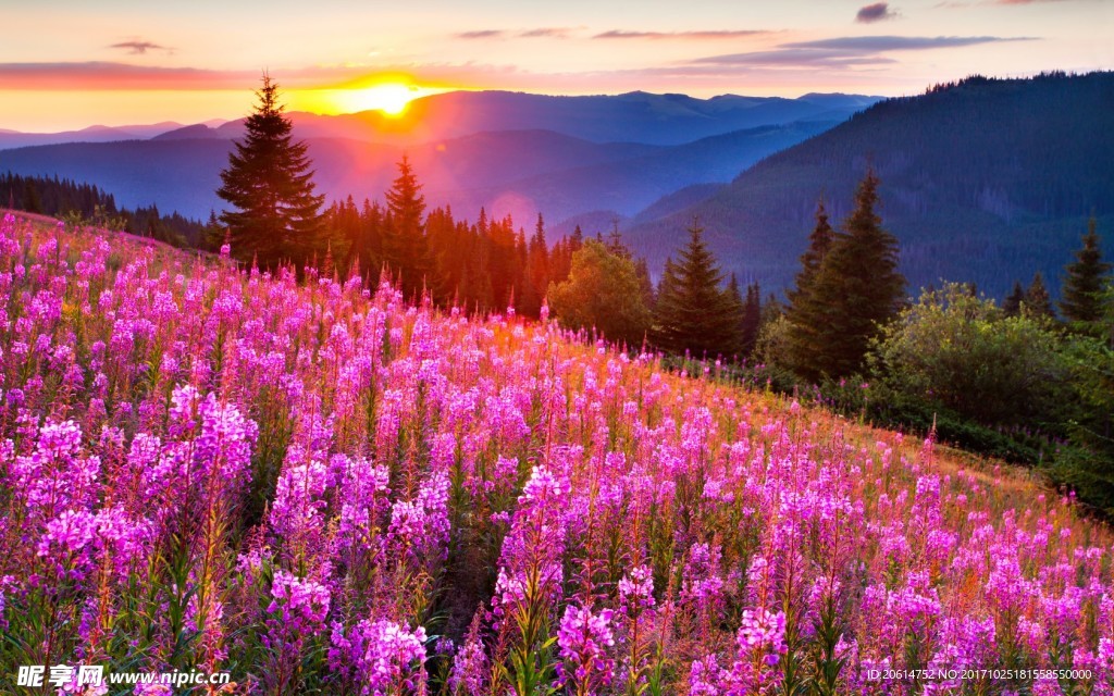 夕阳下的大山风景