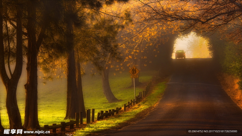 乡村道路美景