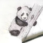 熊猫素描