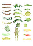 绿色 热带植物 叶子 矢量素材