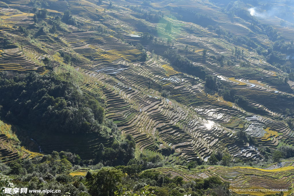 元阳梯田