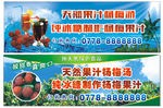 杨梅海报