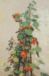 油画花卉