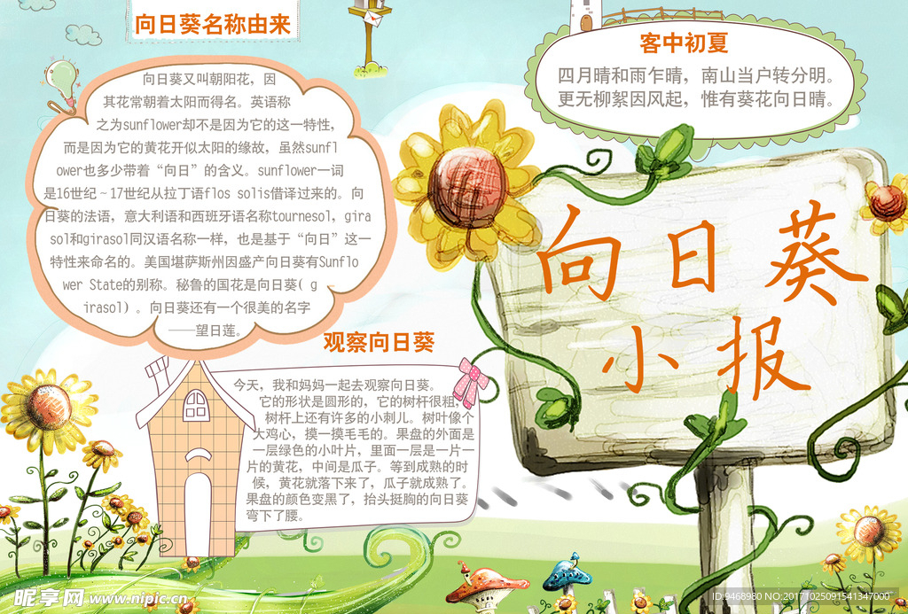 学生小报