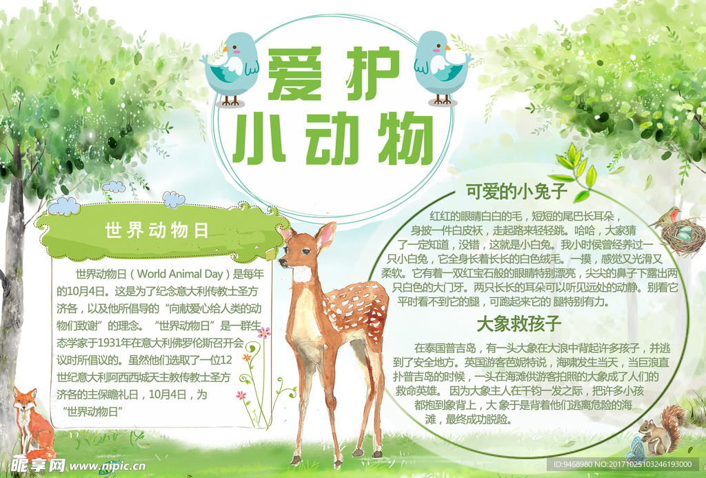 爱护小动物小报