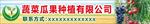 蔬菜瓜果