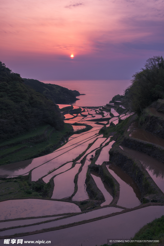 夕阳下的梯田