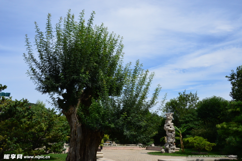 植物园美景