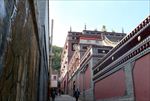 塔尔寺