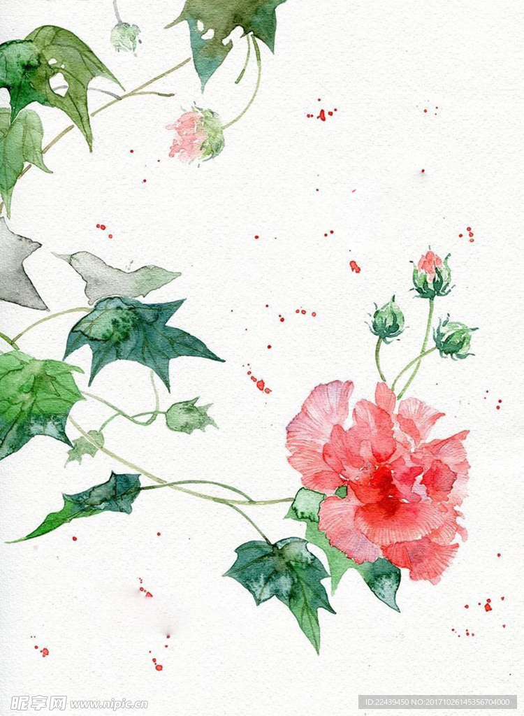 花