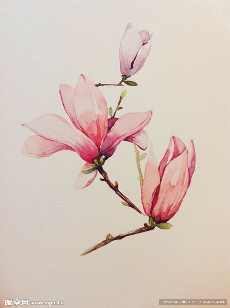 插画花