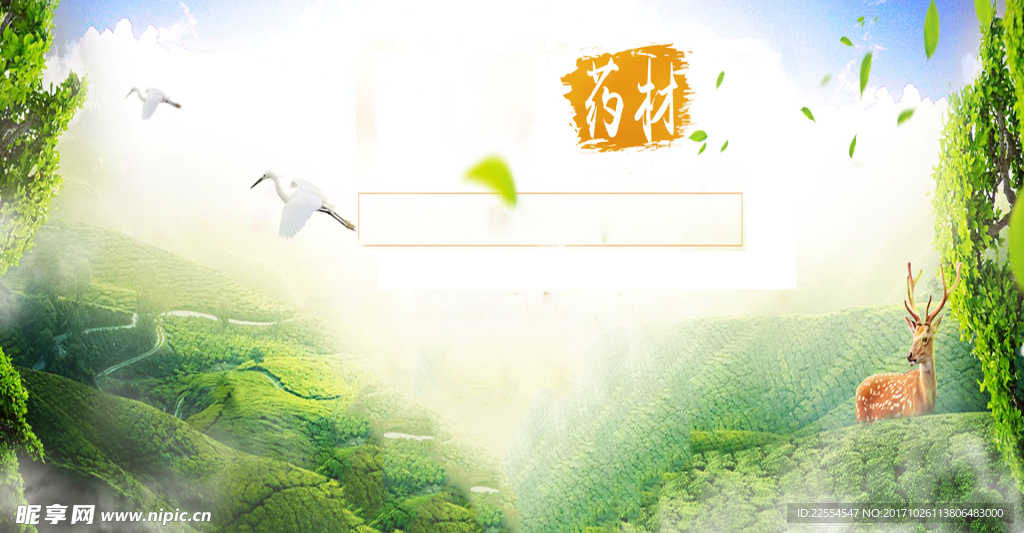 药材中药海报