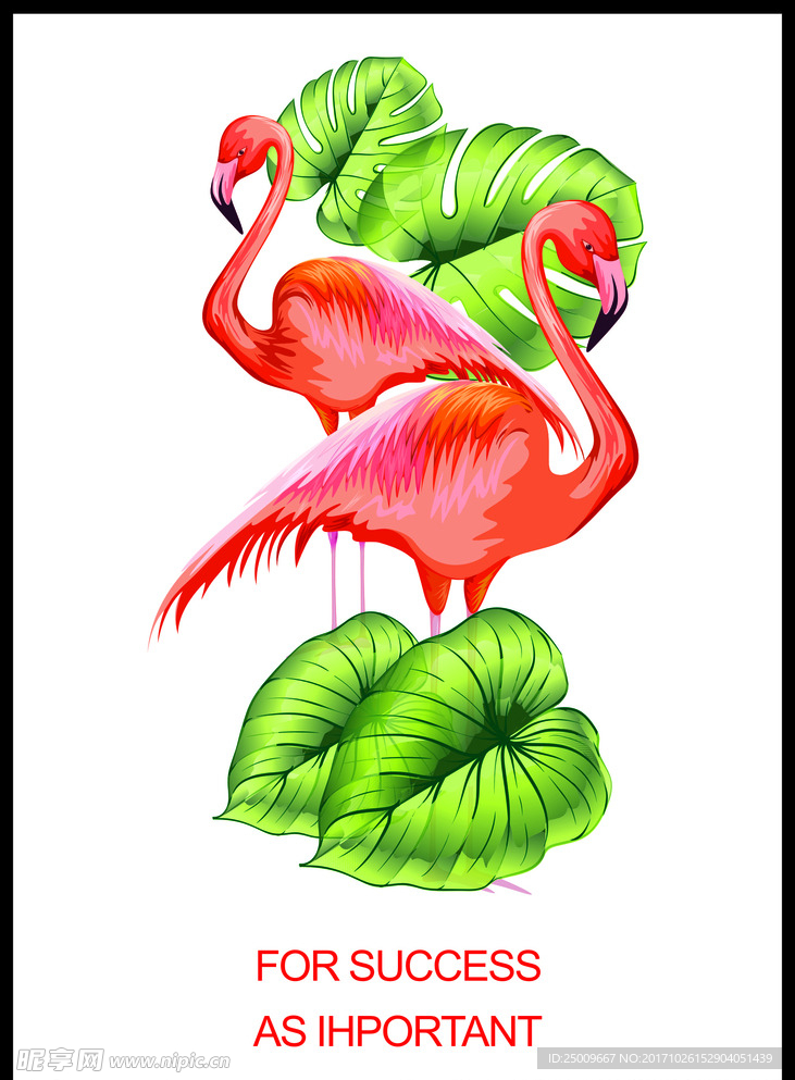 火烈鸟