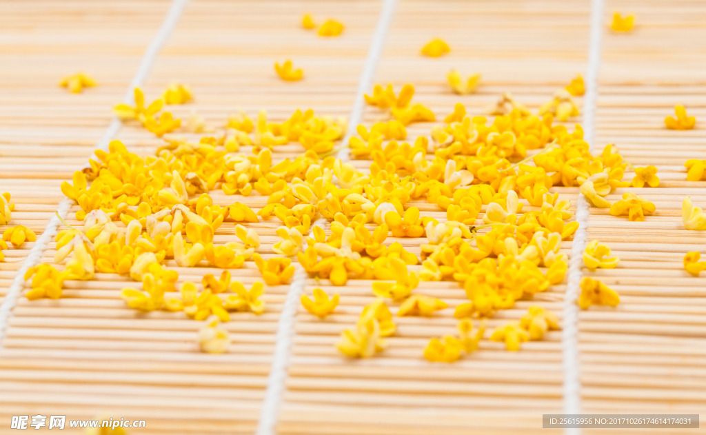 桂花