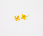 桂花